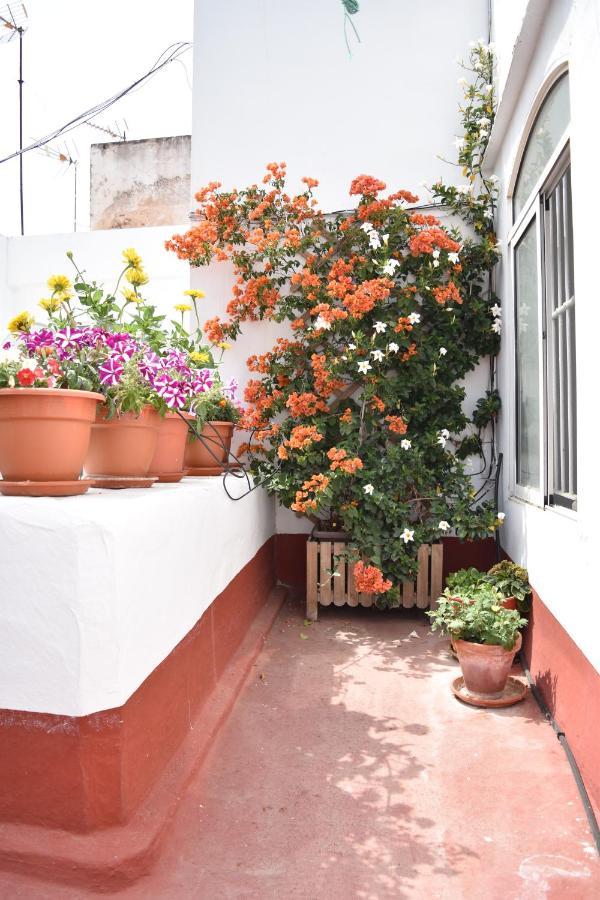 Apartamentos Veedor Cadix Extérieur photo
